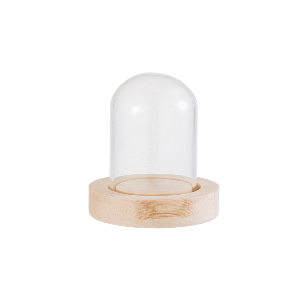 Fairy Lights Home Decor Terrar - Reusable Bottle 评论和价格